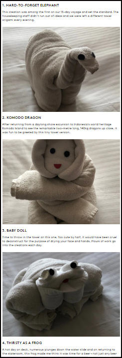 Towel art croisière